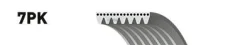 ������ ������������ Gates ���. 7PK1095 7PK1095 Gates XF 7PK1095 ����