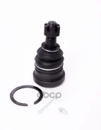 ����� ������� JETT V61-033 (CBT-48) JETT ���. V61-033 V61033 ����