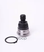 ����� ������� JETT V61-041 (CBN-71) JETT ���. V61-041 V61041 ����