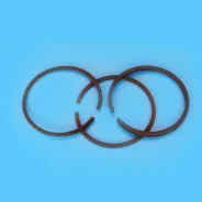 ������ ��������� (�����) ��� ����������� FINI SKM 14 Remeza Parts ����