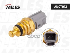������ ����������� �� Miles ���. ANCT013 ANCT013 Miles ANCT013 ����