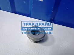 ������ ��������� ��������� ������� M24�1,5 �� Renault 127161 127161 ����