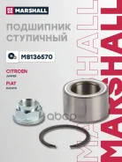 ��������� ����. ������. Marshall ���. M8136570 M8136570 ����