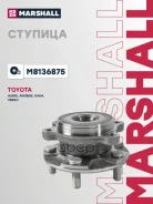 ������� ������ � ��������������� ����������� Marshall ���. M8136875 M8136875 ����
