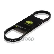 ������ ������������ Trialli ���. 4PK938 4PK938 Trialli 4PK938 ����