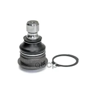 ������ ������� X-Trail T31, Qashqai J10-J11 Belmag ���. Bmsbj002 BMSBJ002 ����
