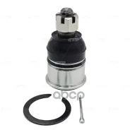 ����� ������� CTR ���. CB0106 CB0106 ����
