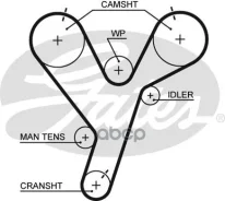 ������ ��� Gates ���. 5446XS 5446XS Gates 77187X32 5446XS ����