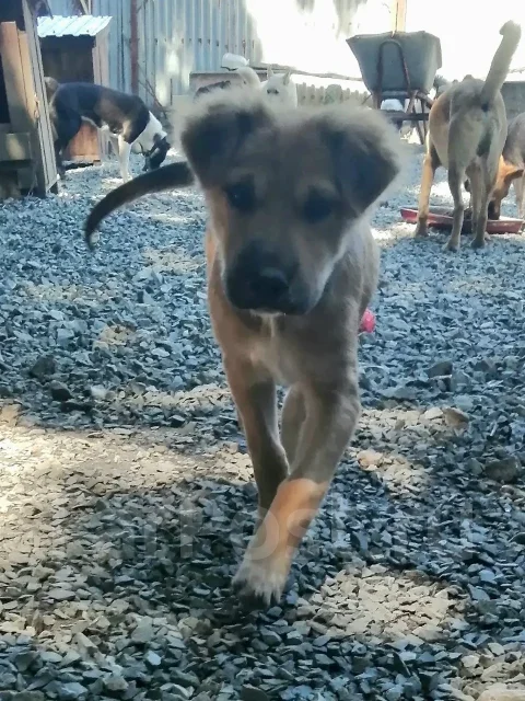 ������. ����