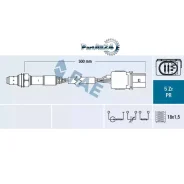 ������-���� FAE 75031 75031 ����