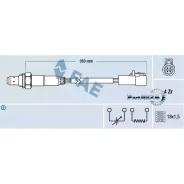 ������-���� FAE 77170 77170 ����