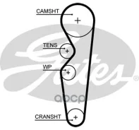 ������ ��� Gates ���. 5665XS 5665XS Gates 5665XS ����
