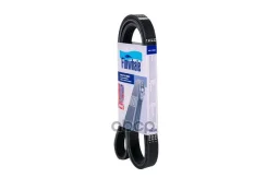 ������ ��������� DIZ Finwhale ���. BP6PK1708 BP6PK1708 Finwhale BP6PK1708 ����