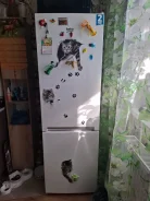 ������������. ����