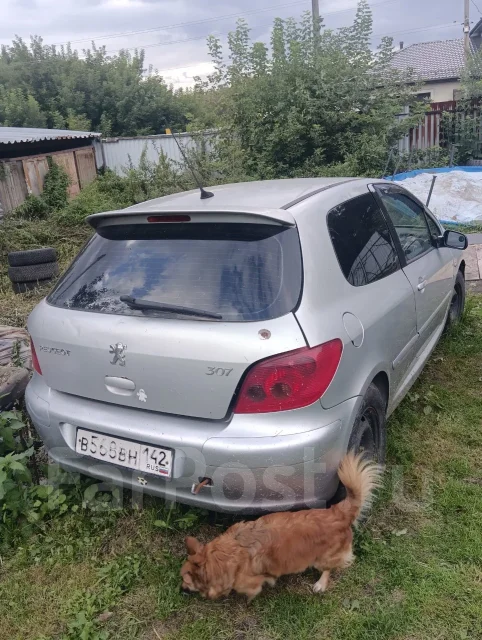 Peugeot 307. VF33ARFNE82365579, 330893 ����