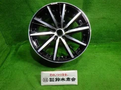Kyoho Steiner SF-V