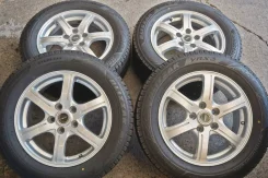 Bridgestone FEID