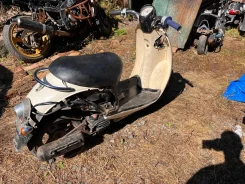 Honda Scoopy 110. 49����. ��., ���������, ������ �� �� ����