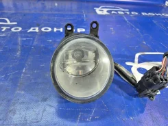 ���� ��������������� Toyota Camry AVV50 2Arfxe 81220-0D042, ����� �������� 812200D042 ����