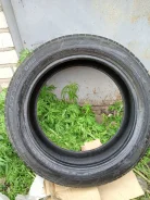 Dunlop SP 050. ������, 2020 ���, �/�, ����� 50 % ����