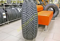 Mazzini Ice Leopard 2. ������, ����������, ����� ����