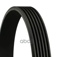 ������ ������������ ���������� Continental ���. 6PK1039Elast 6PK1039ELAST ����