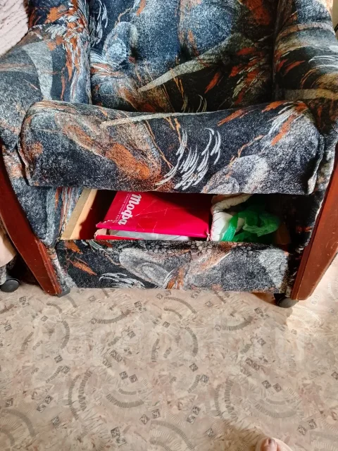������ ����
