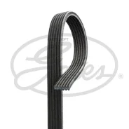 ������������ ������ 6DPK1817 (8653-10589) ����� � ������ ��� � ��� �������� 2 - 24 ���� � ��� | �������� �� �������������! Gates 6DPK1817 6DPK1817 ���...