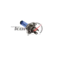 ����� H4 12V 6055W P43t (64193CBI)COOL BLUE (Premium) KBA2012 ����� � ������ ��� � ��� �������� 2 - 24 ���� � ��� | �������� �� �������������! Kortex...