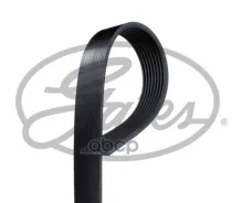 ������! ������������ 8PK1553 MAN Gates ���. 8PK1553HD 8PK1553HD ����