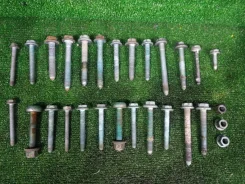 ���� �������� (��������) Volkswagen Golf 12.04.2006 N90954802 5 BVY (2.0), �������� N90954802 ����