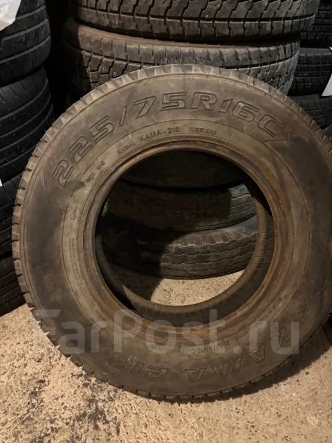 ����-218. �����������, 2024 ���, �/�, ����� �� 5 % ����