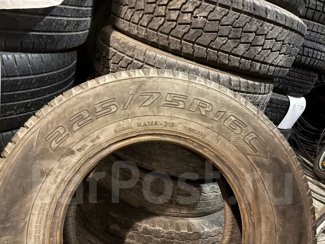 ����-218. �����������, 2024 ���, �/�, ����� �� 5 % ����