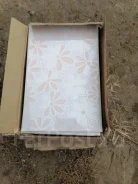������� ������ ����