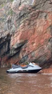 BRP Sea-Doo. 2008 ��� ����
