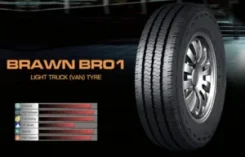 Boto Brawn BR01