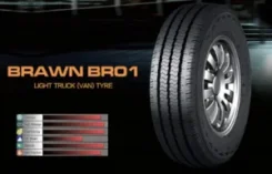 Boto Brawn BR01