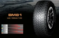 Boto BM81