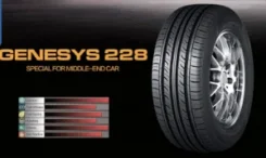 Boto Genesys 228
