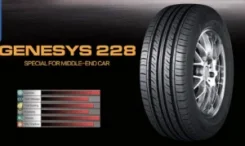 Boto Genesys 228