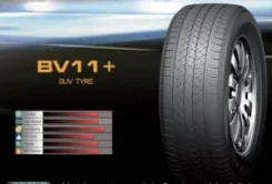 Boto BV11+