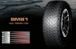 Boto BM81