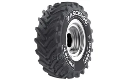 Ascenso XLR 880