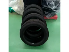 Bridgestone Blizzak WZ-1