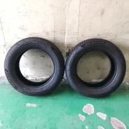 Dunlop Synchro Weather