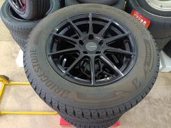Bridgestone Potenza Adrenalin SW010