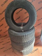 Bridgestone Blizzak DM-V1