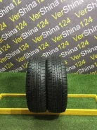 Goodyear Ice Navi Zea II