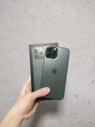 Apple iPhone 13 Pro Max. �/�, 256 ��, �������, 3G, 4G LTE, 5G, Dual-SIM, NFC, eSIM, ������� �������, ������������ ������� ����