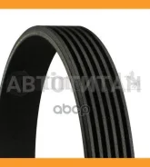 ������ ������������ 1987948336, 68399, 6PK1428, 6PK1435, 6PK1432, 6K1432, 37541, 6PK1430, 6PK1433, 6PK1434, 6PK1431, 03F903137A, 11287838226, 11287835...